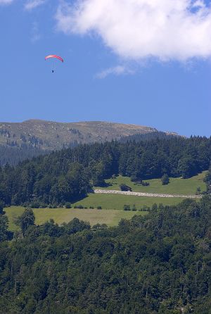 DIG-Paraglider Interlaken.jpg